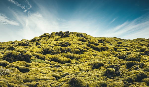 iStock-954273914_lava_moos_list_1712656363.jpg