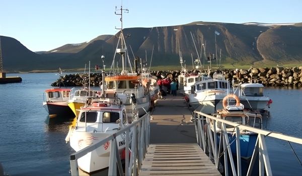 Sommerhaus zur Sonnenfinsternis