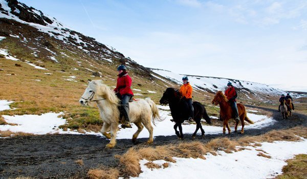 Tages-Reittouren mit Eldhestar im Winter